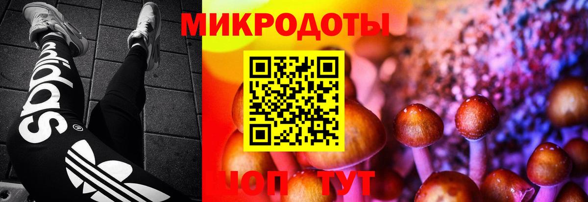 Псилоцибиновые грибы Magic Shrooms Гусиноозёрск