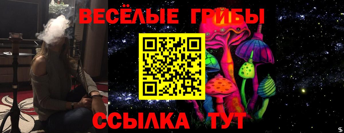 Гусиноозёрск  Псилоцибиновые грибы MAGIC MUSHROOMS  закладки  Галлюциногенные грибы мухоморы  Вход с VPN 